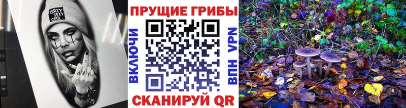 купить закладку  Снежногорск  Галлюциногенные грибы GOLDEN TEACHER 